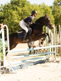 DSC07739 DSC07739