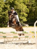 DSC07740 DSC07740