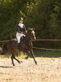 DSC07742 DSC07742