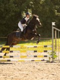 DSC07743 DSC07743