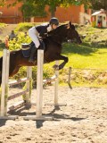 DSC07744 DSC07744