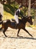 DSC07745 DSC07745