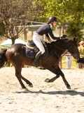 DSC07746 DSC07746