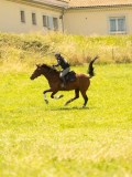DSC00835 DSC00835