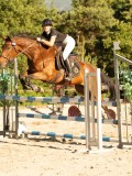 DSC08646 DSC08646