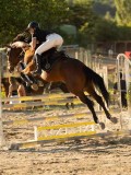 DSC08648 DSC08648