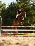 DSC08650 DSC08650