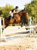 DSC08653 DSC08653