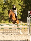 DSC08654 DSC08654