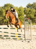DSC08655 DSC08655