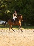 DSC08656 DSC08656