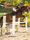 DSC08658 DSC08658