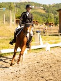 DSC05174 DSC05174
