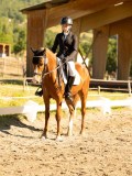 DSC05183 DSC05183