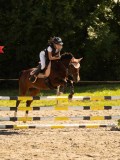 DSC07823 DSC07823