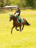 DSC09343 DSC09343
