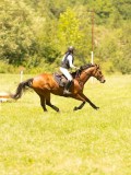 DSC00439 DSC00439