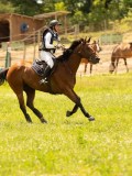 DSC00443 DSC00443