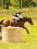 DSC00445 DSC00445