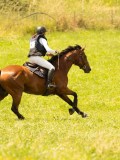 DSC00446 DSC00446