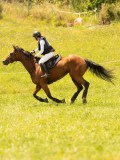 DSC00458 DSC00458