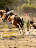 DSC08344 DSC08344