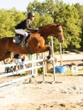 DSC08349 DSC08349