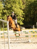 DSC08350 DSC08350