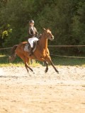 DSC08352 DSC08352