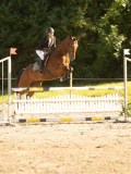 DSC08353 DSC08353