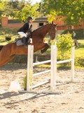 DSC08354 DSC08354