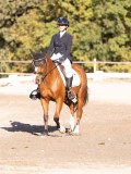 DSC01953 DSC01953
