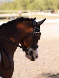 DSC01959 DSC01959