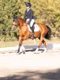 DSC01990 DSC01990