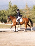 DSC01991 DSC01991