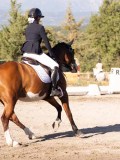 DSC01993 DSC01993