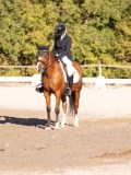 DSC01994 DSC01994