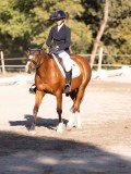 DSC01996 DSC01996