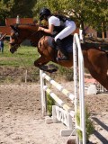 DSC04515 DSC04515