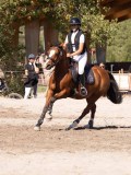 DSC04517 DSC04517