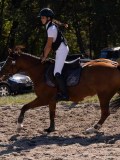 DSC04520 DSC04520
