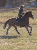DSC05366 DSC05366