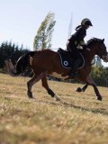 DSC05379 DSC05379