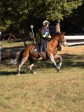 DSC05384 DSC05384