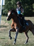 DSC_6269 DSC_6269