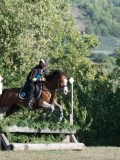 DSC_6274 DSC_6274