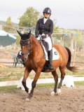 DSC02719 DSC02719