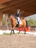 DSC02735 DSC02735
