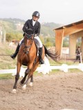 DSC02736 DSC02736