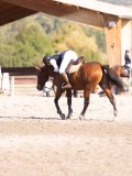 DSC03406 DSC03406